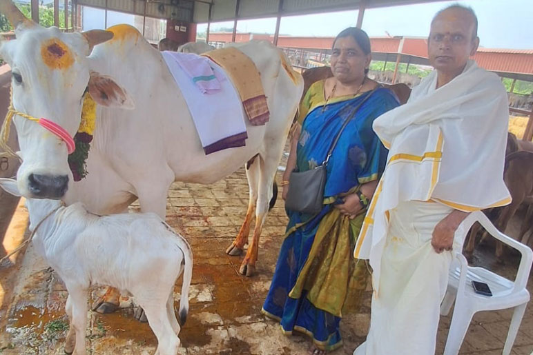 Godanam Pooja by Sri G.Bhaskar & Vasanthi , Hyderabad